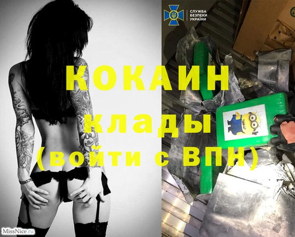 эйфоретик Бородино