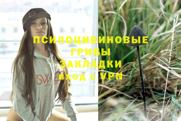 прущая мука Верея