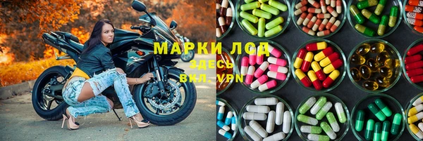 эйфоретик Бородино