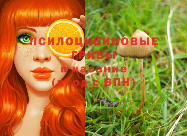 эйфоретик Бородино