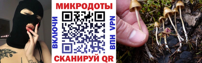 Псилоцибиновые грибы GOLDEN TEACHER Владимир