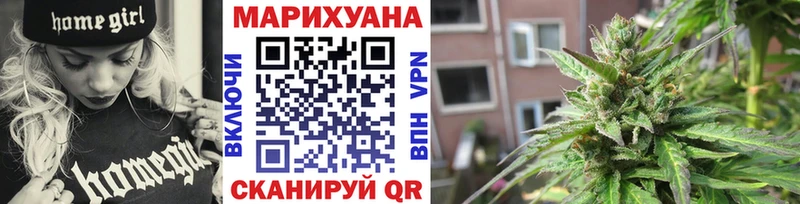 где купить наркотик  Владимир  Конопля план 